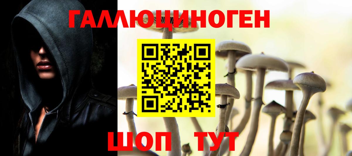 Псилоцибиновые грибы ЛСД  Вход с VPN  Балашиха  Псилоцибиновые грибы Cubensis 